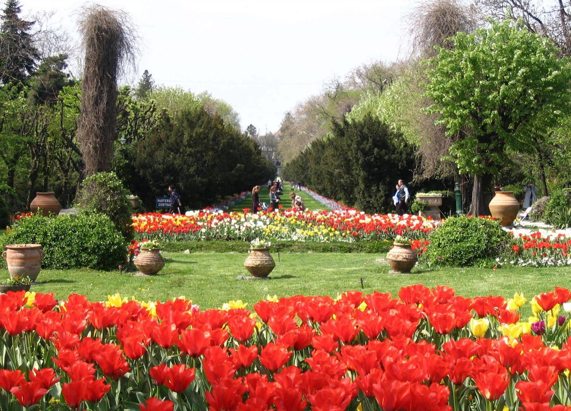 Central Park View Apartments Bukarest Kültér fotó